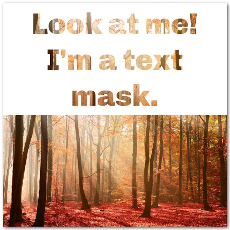 Make a Text Mask | How to Fill Your Image With Text | PicMonkey Blog