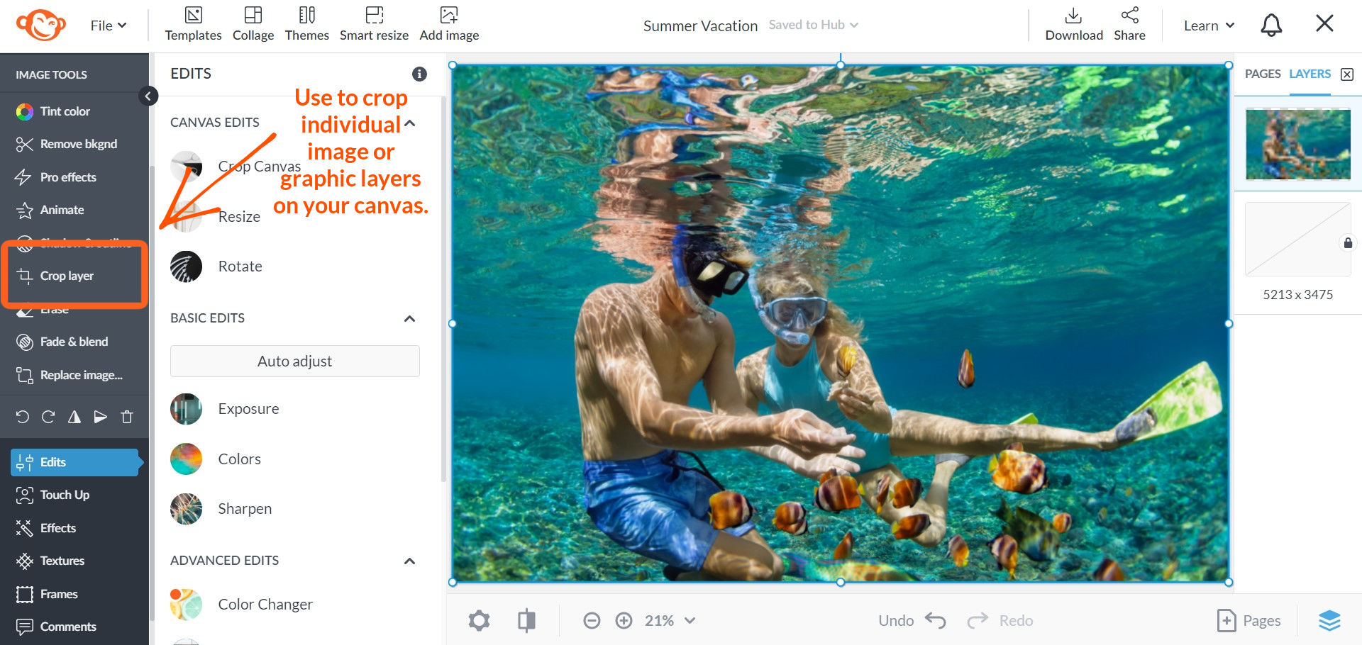 How to crop and resize in New PicMonkey PicMonkey Help and Support