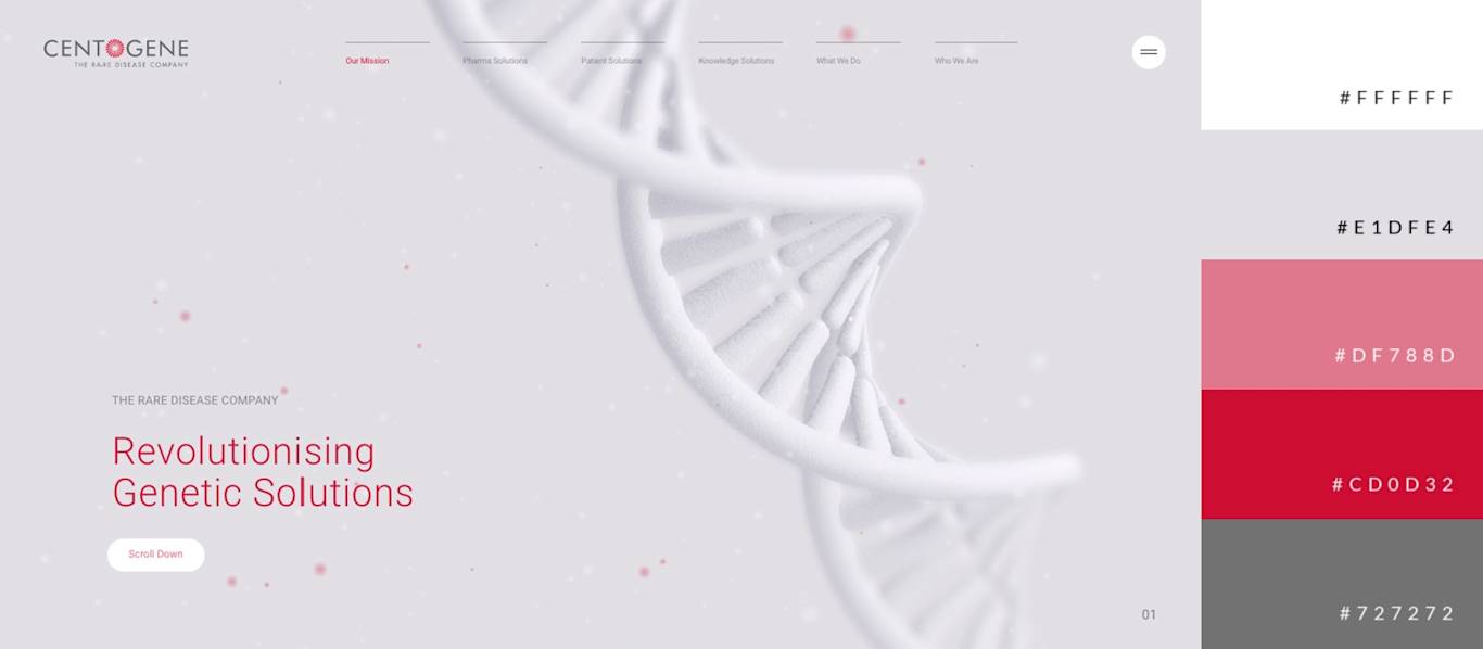 Website Color Schemes | Make Your Own Color Palettes | PicMonkey