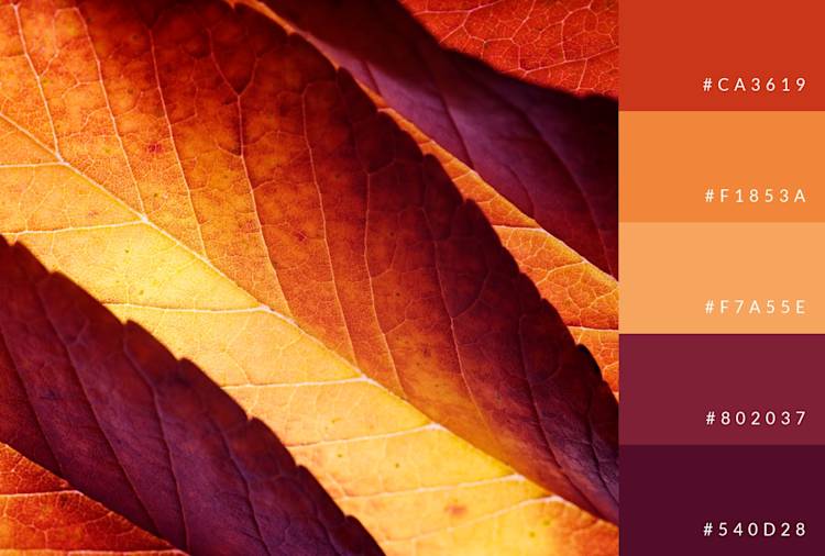Ten Color Combinations 100 Color Combinations for Designs | Examples & Inspiration | PicMonkey