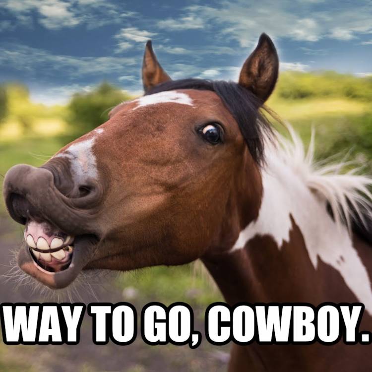 Meme Ideas Tips For Making Hilarious Memes PicMonkey meme-ideas-tips-for-making-hilarious-memes-picmonkey