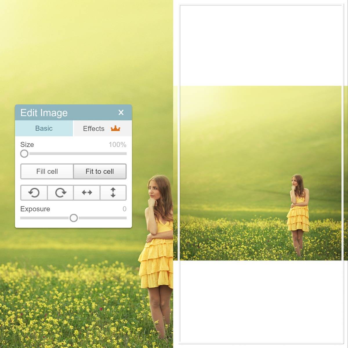 New Customization Updates to Collage PicMonkey