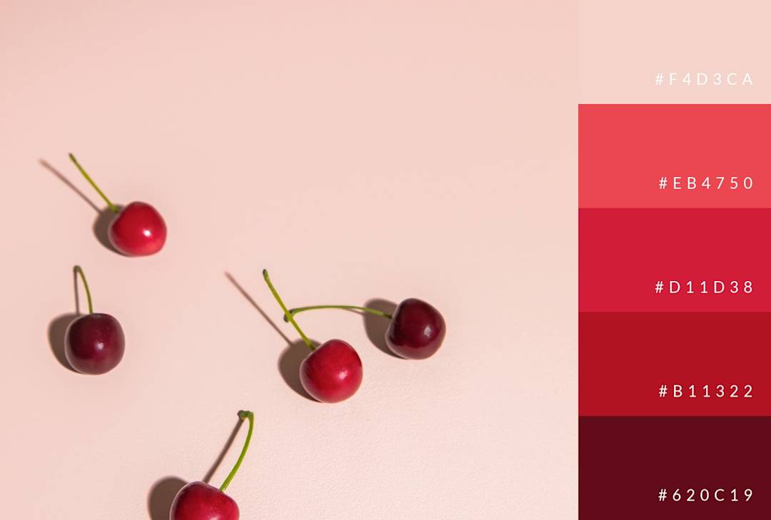 100 Color Combinations for Designs | Examples & Inspiration | PicMonkey