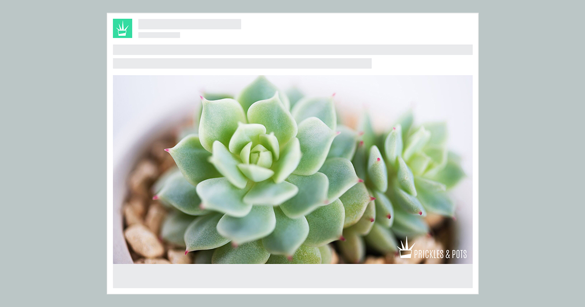 Create branded ad designs