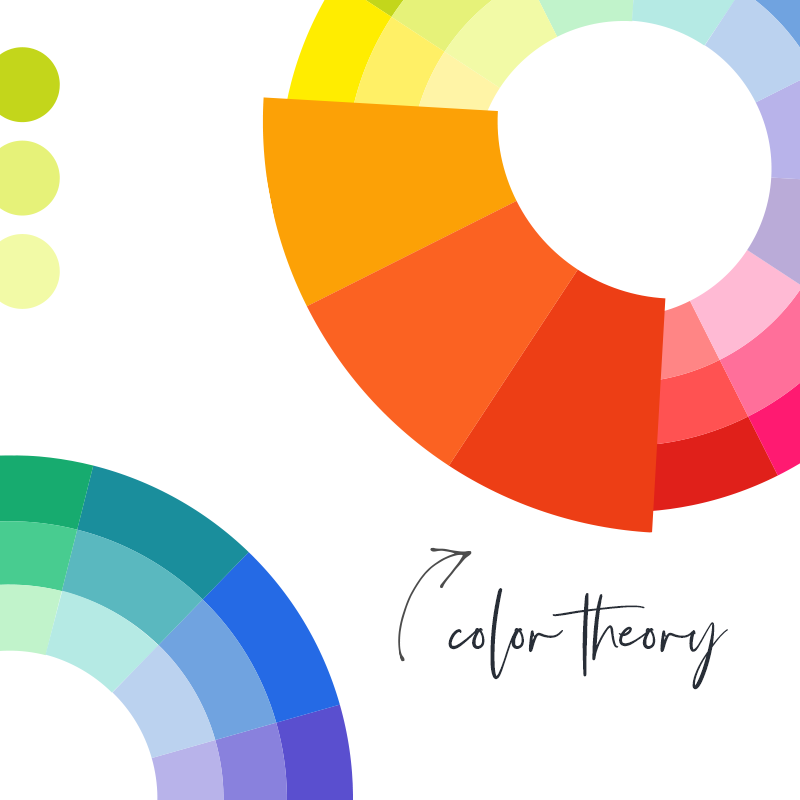 The color wheel, a fundamental way to understand color theory.