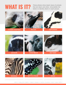 Animal identification worksheet maker template at PicMonkey