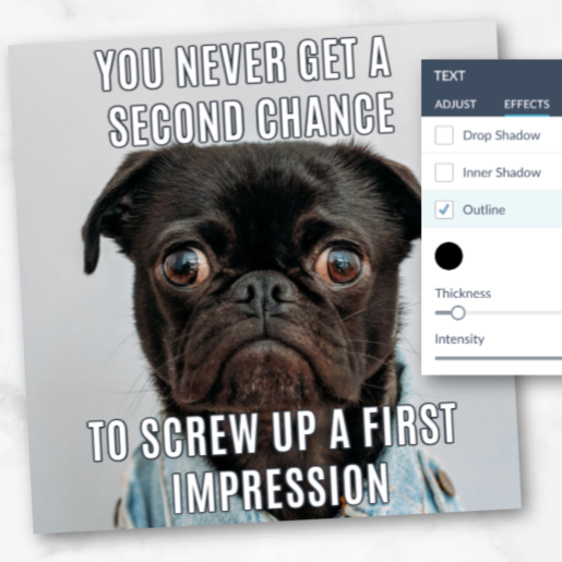Meme design with sad dog and text "You never get a second chance to screw up a first impression."