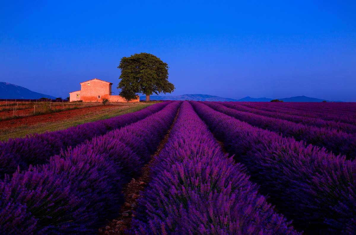 The Quintessential Guide To Blue Hour Photography | PicMonkey Blog