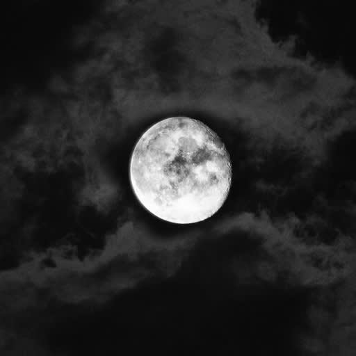Harvest moon in black and white.