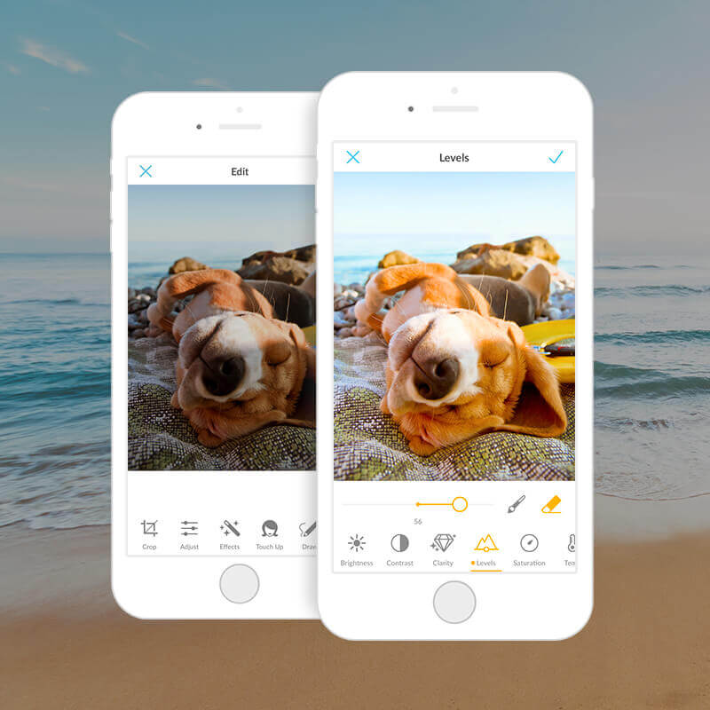 Two iPhone examples of a dark photo and a light photo of a dog laying on its back at the beach. Beach background of sand and water.