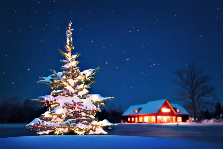 Christmas Light Background Photography | 15 Tips for Better Photos ...
