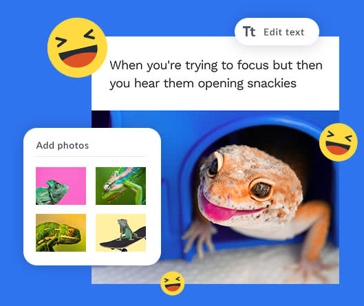 Meme text maker with lizard poking out of a door and options to add other lizard photos or edit text in PicMonkey.