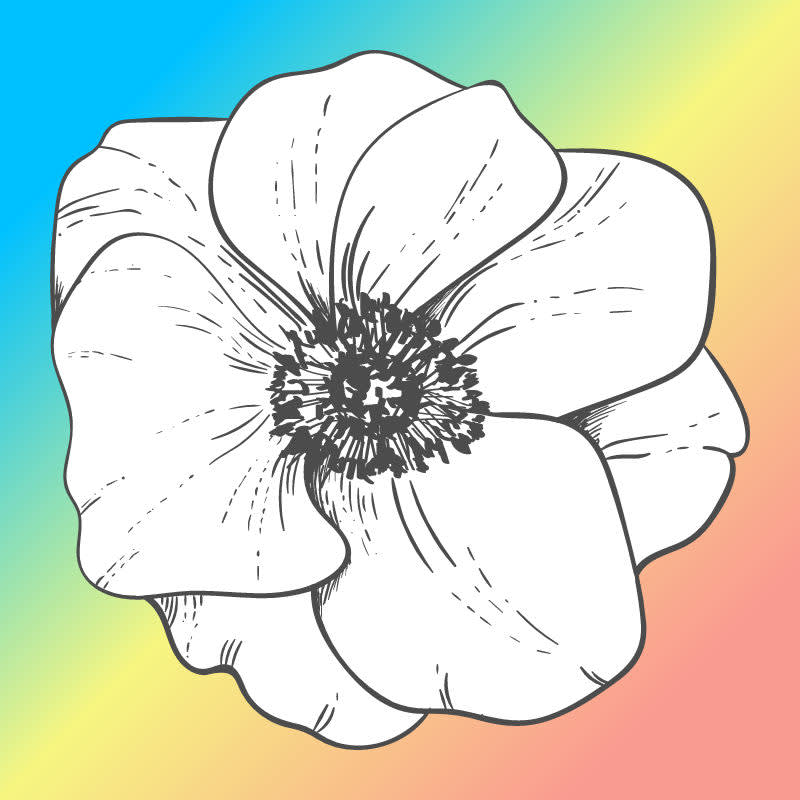 Flower graphic against rainbow color gradient background. 