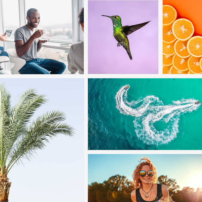 Access millions of royalty-free Shutterstock photos with a PicMonkey subscription. 