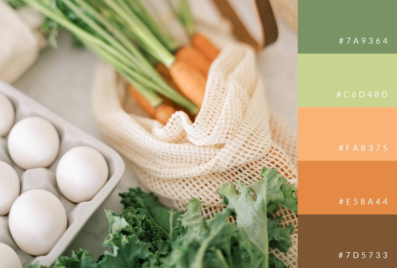 100 Color Combinations for Designs | Examples & Inspiration | PicMonkey