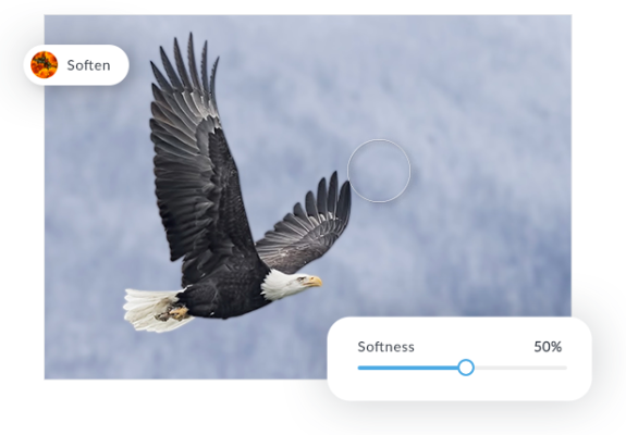 blur background eagle