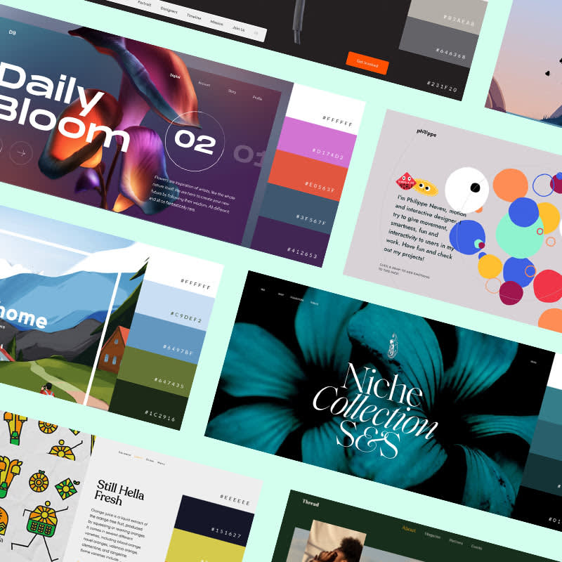 Website color scheme examples, from minimalistic to bold to relaxing and more. 