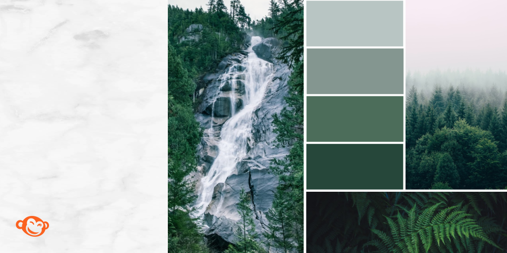 How to Make a Color Palette | Choose Brand Colors From Images | PicMonkey