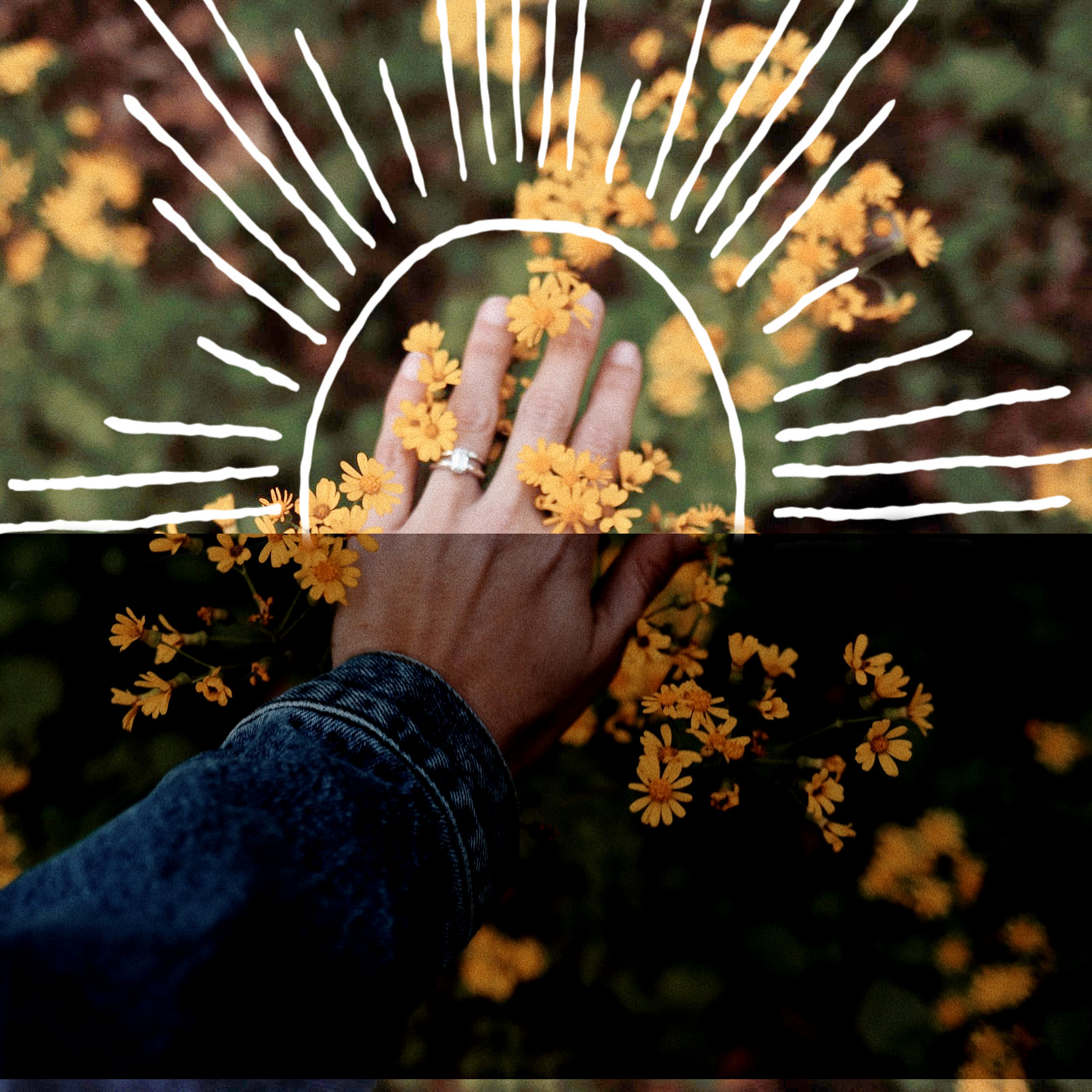 Two-cell collage showing correct exposure versus underexposure in a photo of a hand reaching into a flower bed.
