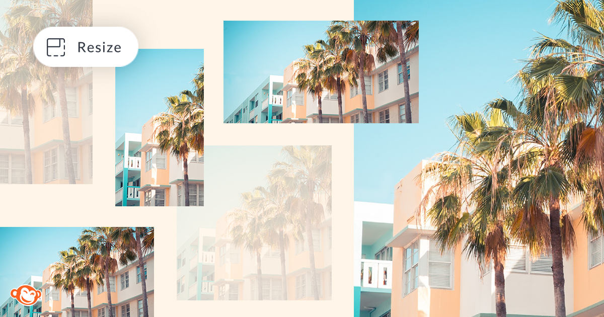 Resize a Picture or Video | Crop & Resize Photos | PicMonkey