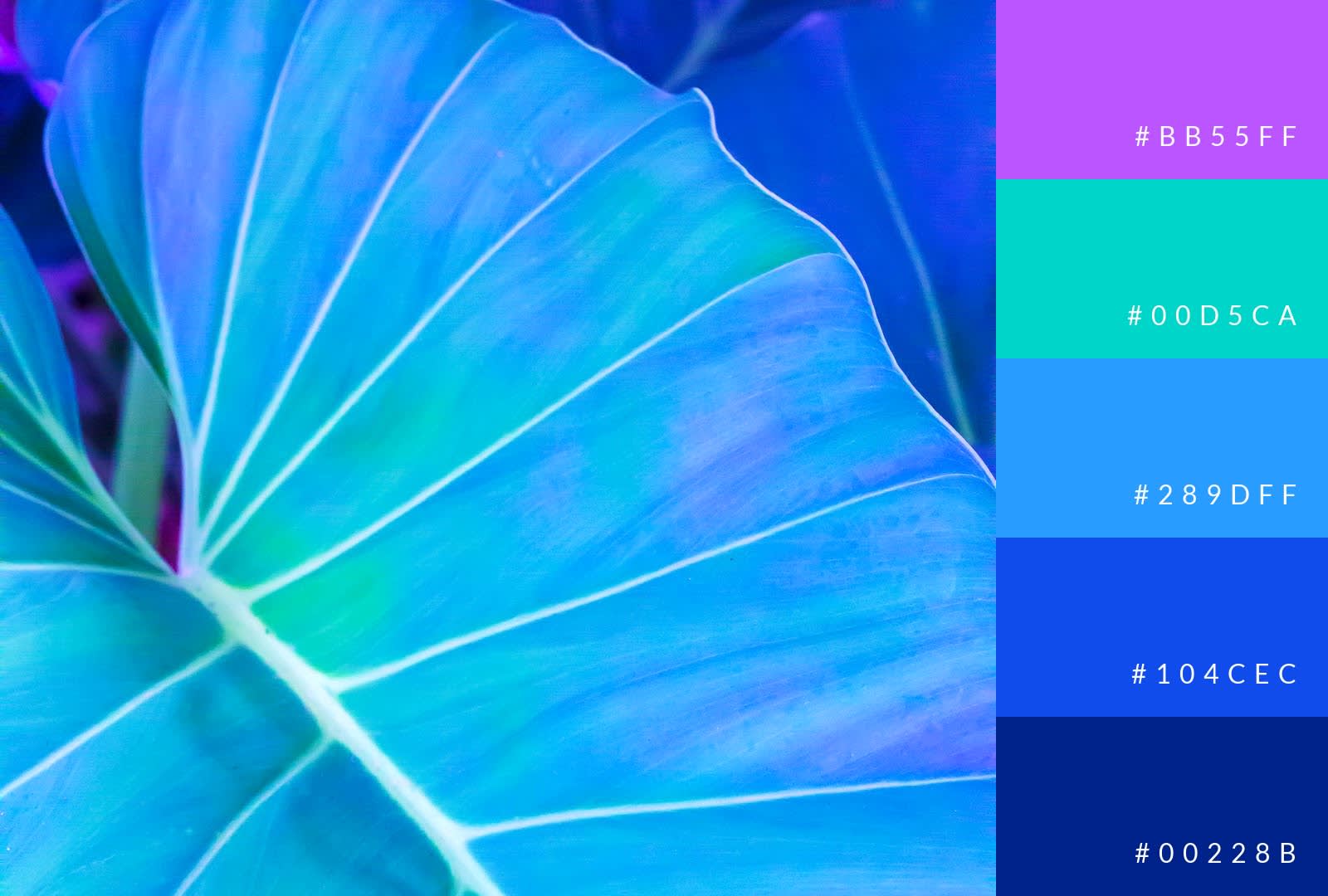 Serene Blue and Green Color Palette
