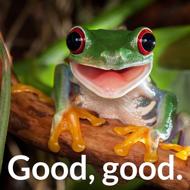 Meme ideas & Tips for Making Hilarious Memes | PicMonkey