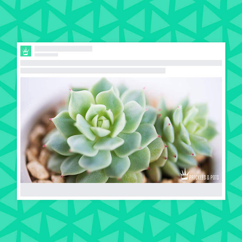 design promotional advertisements