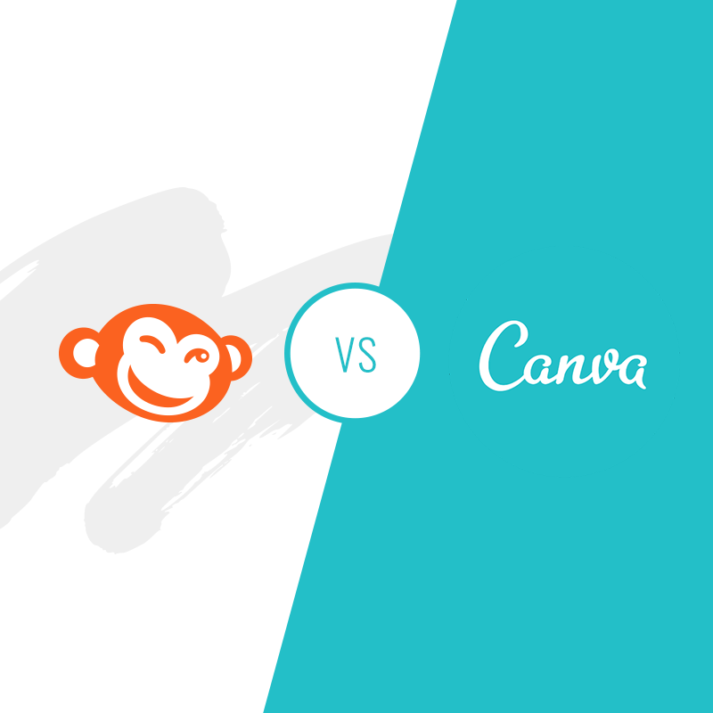 picmonkey vs canvas which is a better photo editing tool