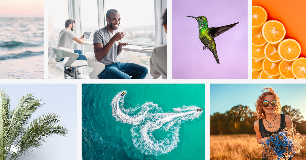 Enhance Your Designs With Free Stock Photos | PicMonkey Blog