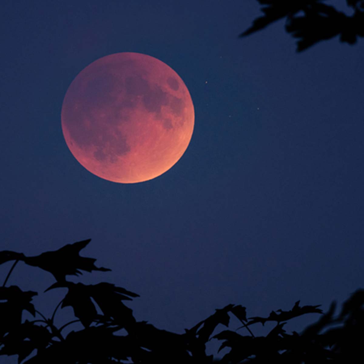 shooting-a-blood-moon-picmonkey-blog