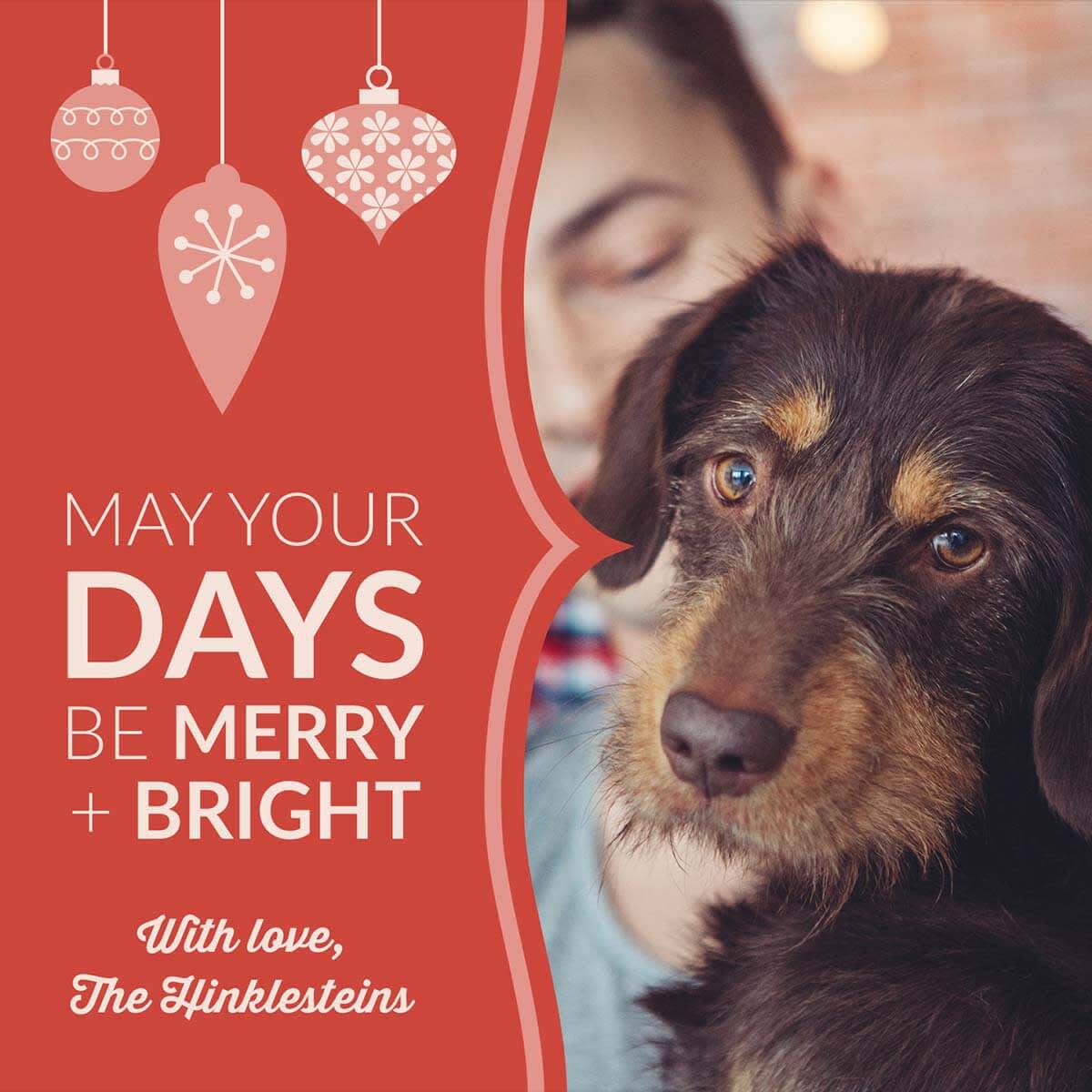 Holiday e-card design with photo of man and his dog, along with text "May your days be merry and bright; With love, The Hinklesteins."