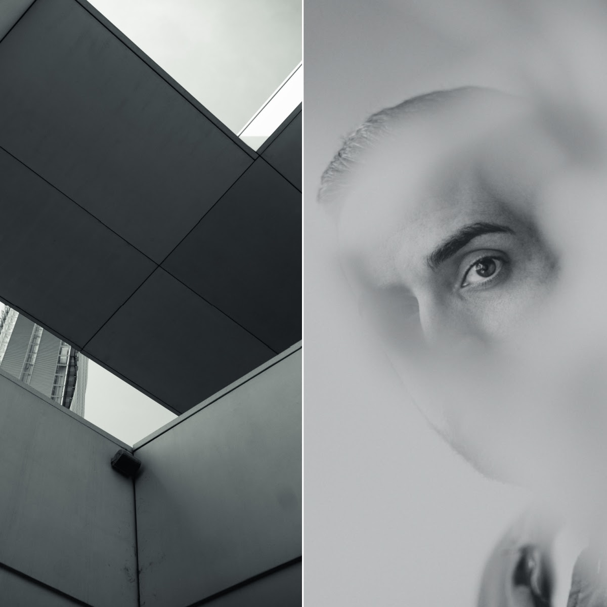 monochromatic color schemes