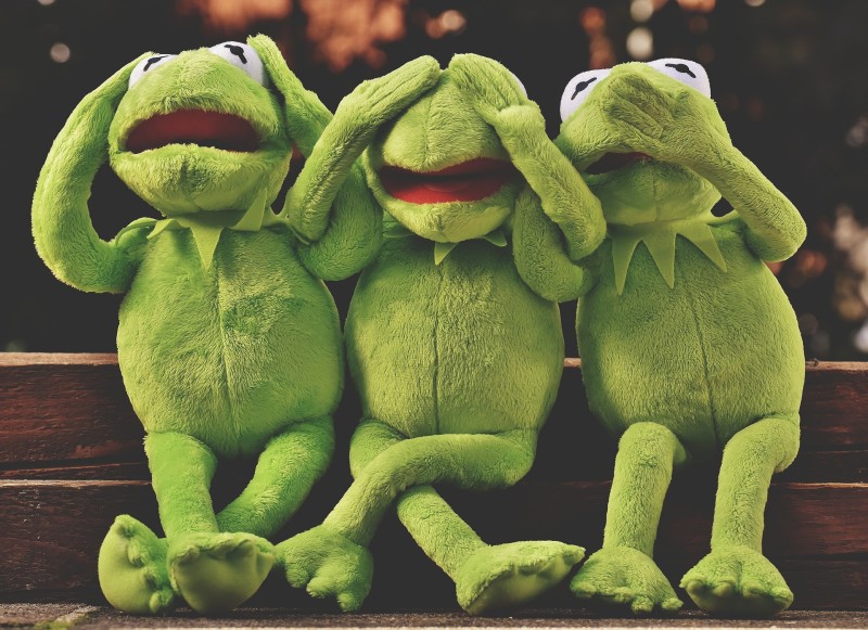 eat a frog - prioritization analogy