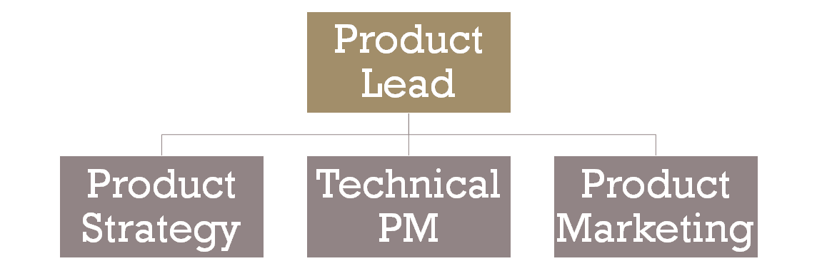 Who reports to product lead
