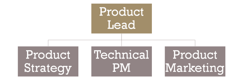 Who reports to product lead