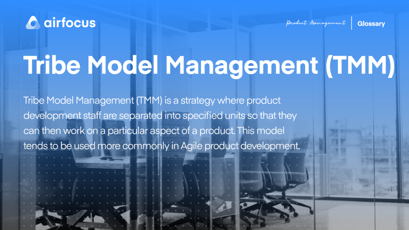 What is Tribe Model Management (TMM)?