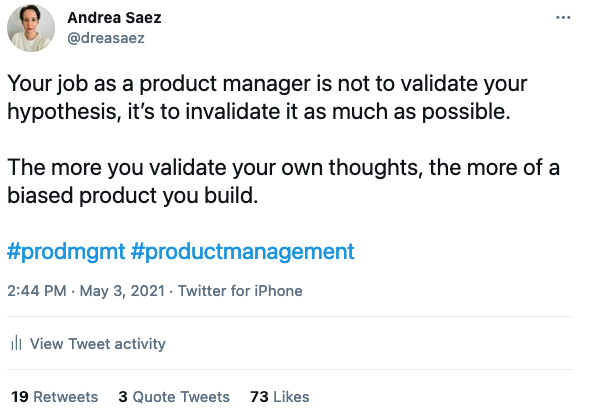 a product manager's job