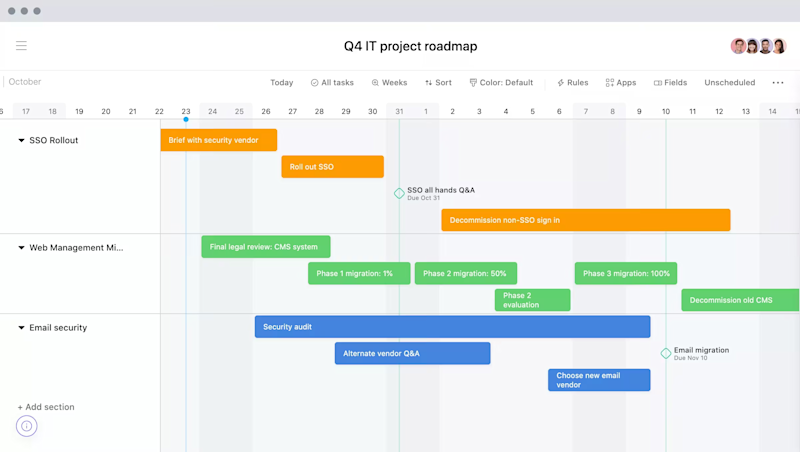 asana roadmap
