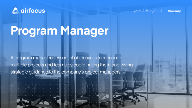 What is a Program Manager