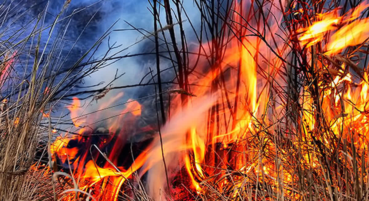 prepare-your-property-for-grass-fires-the-yass-phoenix-yass-region