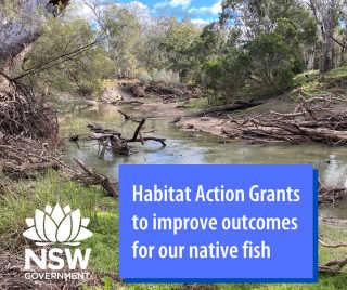 Habitat Action Grants 2021