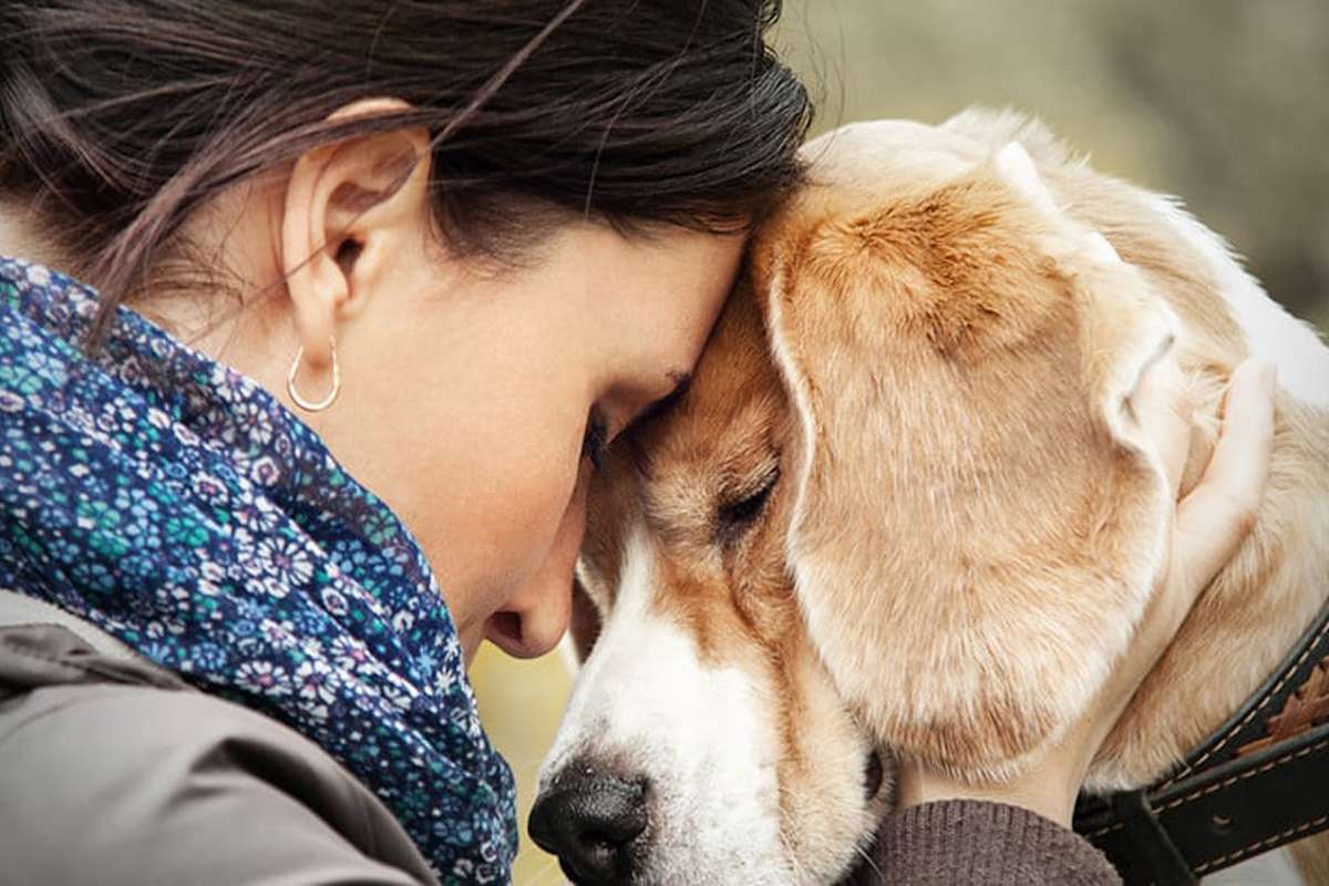 How To Help Someone Grieving Their Pet The Yass Phoenix Yass Region how-to-help-someone-grieving-their-pet-the-yass-phoenix-yass-region