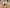 Update-on-New-Murrumbateman-Public-School-