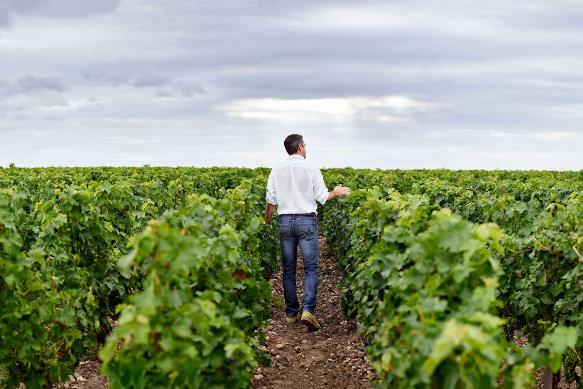 AWRI Survey The Yass Phoenix Yass Region News And Current Affairs awri-survey-the-yass-phoenix-yass-region-news-and-current-affairs