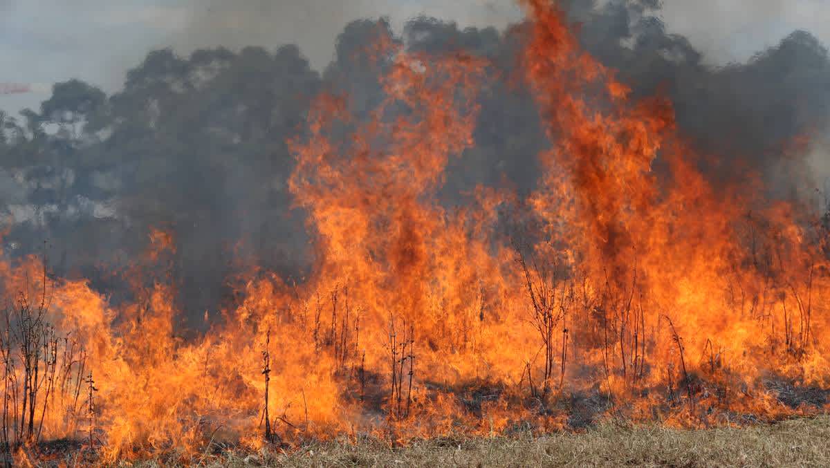 Preventing Grass Fires | The Yass Phoenix – Yass News and Current Affairs