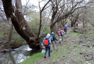 Hume and Hovell Track.