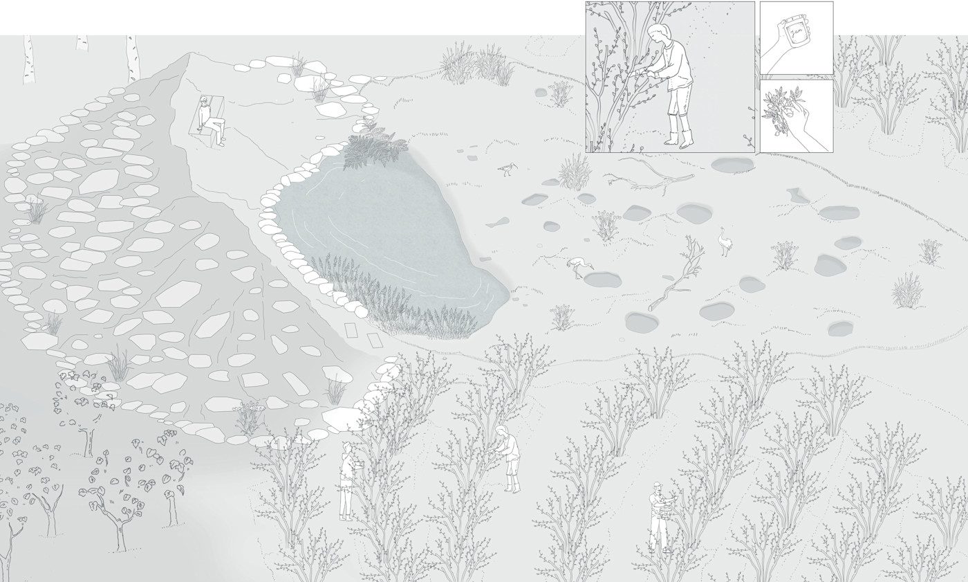 Freeminers’ Bog