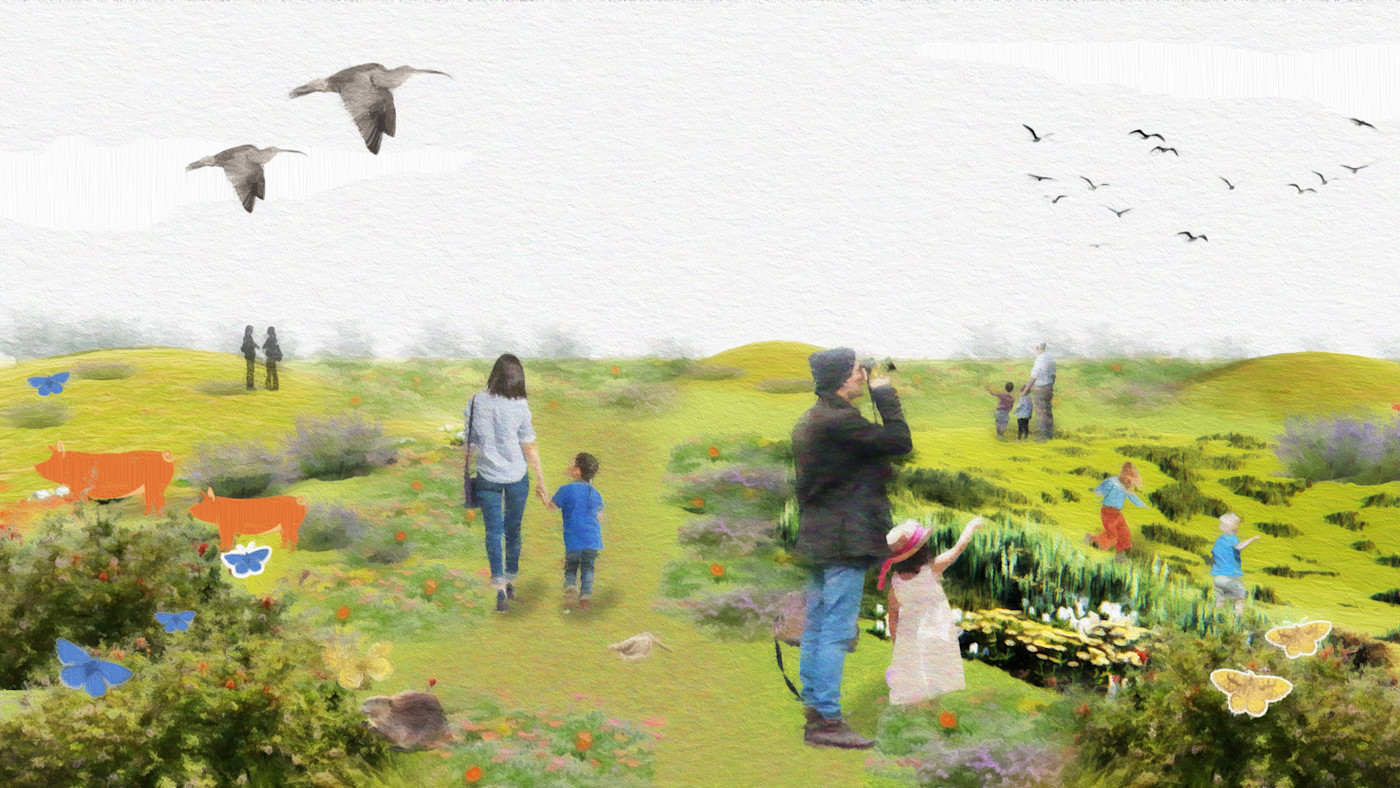 Reviving UK Wetlands: A Climate and Ecosystem Solution