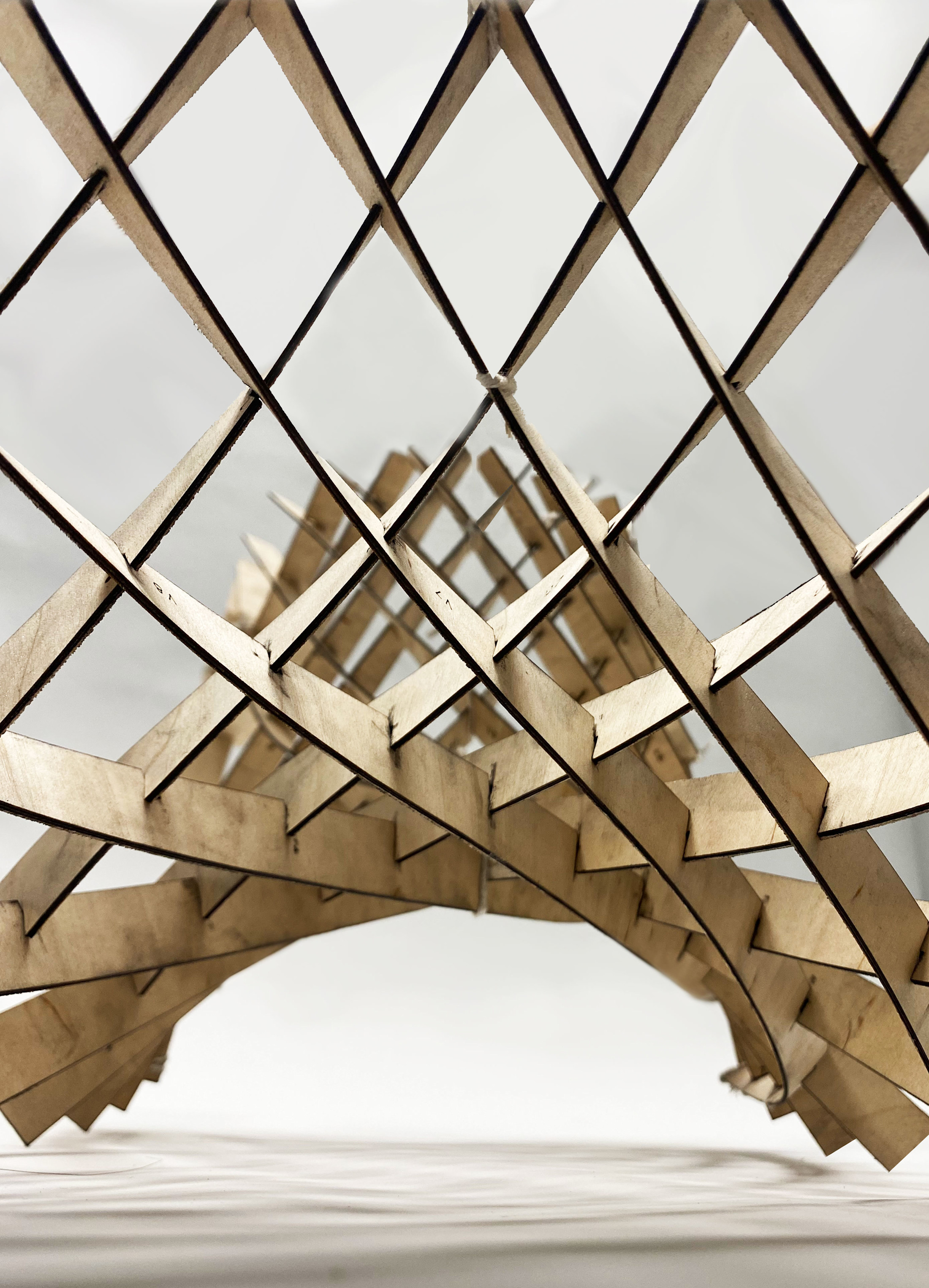 analysing 6 examples of timber gridshell structures... Asymptotic Gridshell