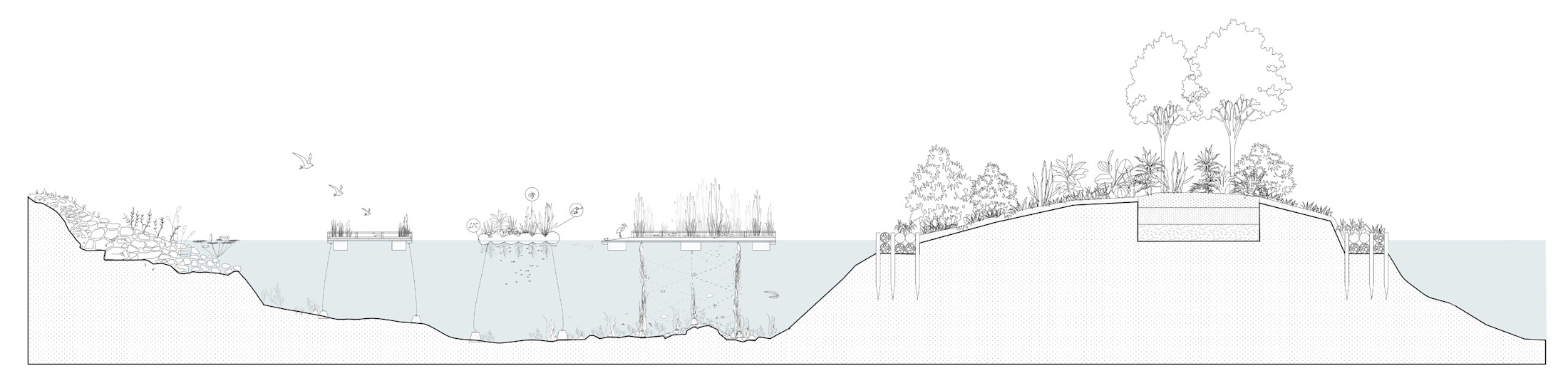 Island Systems: A Model for Habitat Creation on the River Lea